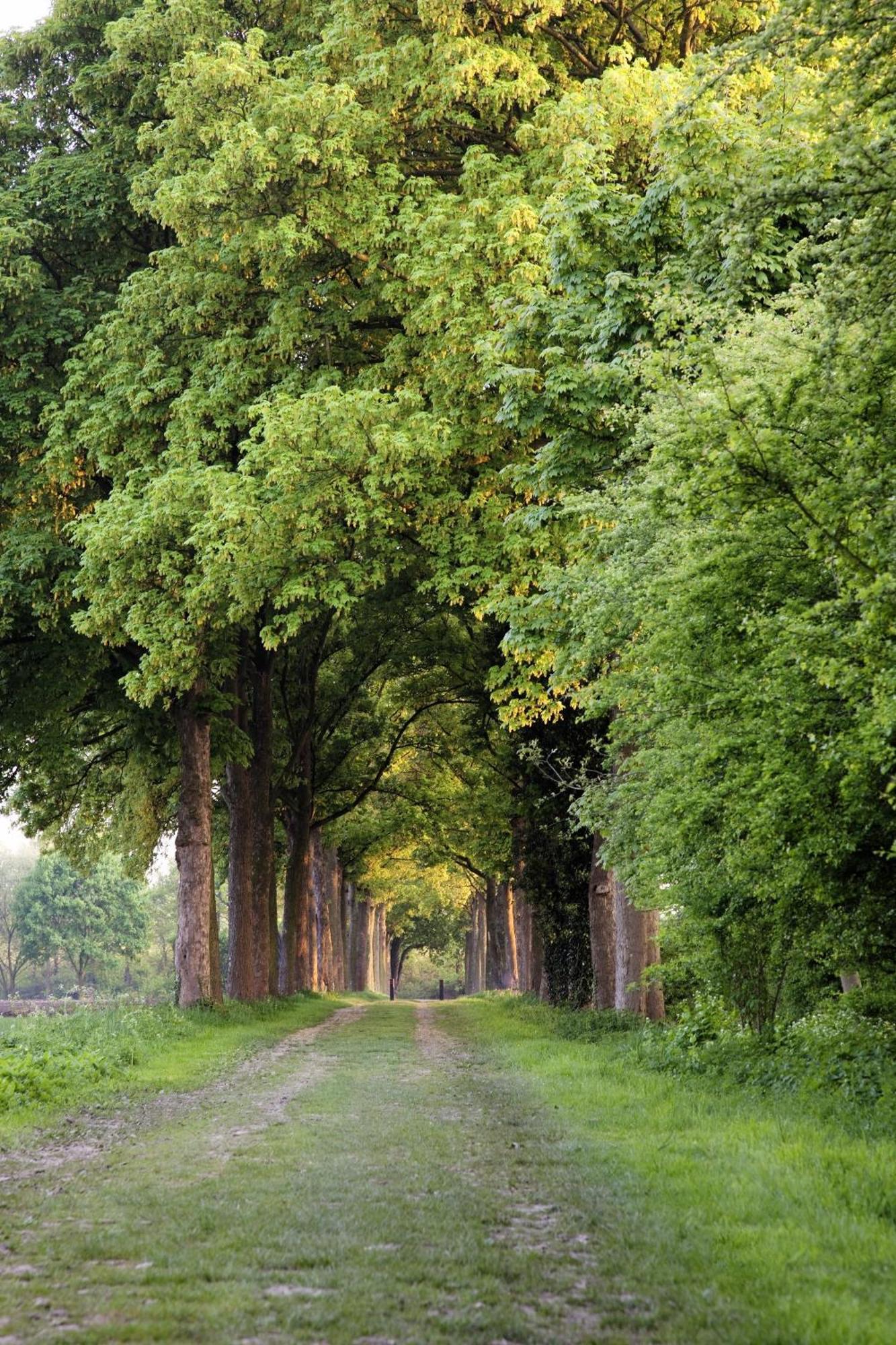 Bilderberg Chateau Holtmuehle เวนโล ภายนอก รูปภาพ